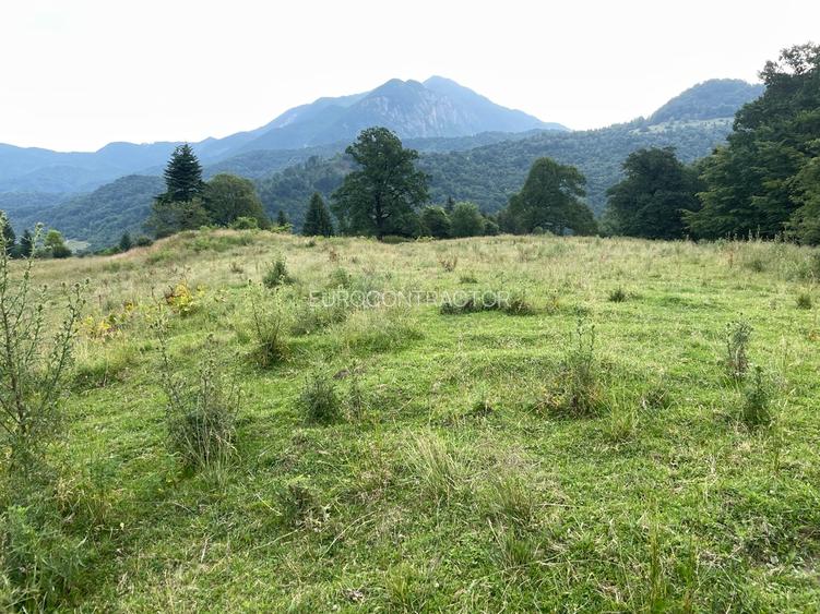 Teren intravilan dezvoltare turistica Hoteluri/Pensiuni S+P+2E+M - 13