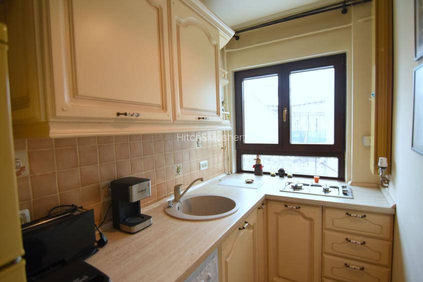 Apartament cu 1 camera, recent renovat-Take Ionescu - 7