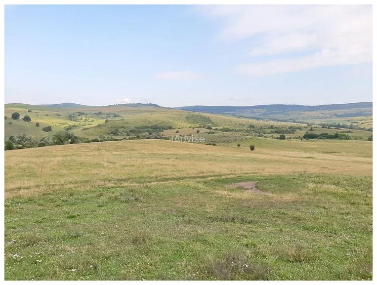 Teren Sercaia  250 ha - 9