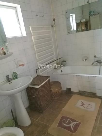 Casa familiala cu anexe - 10