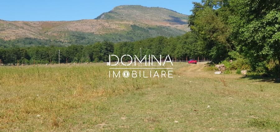 Inchiriere loturi de teren in Comuna Runcu – sat Sanatesti - 6