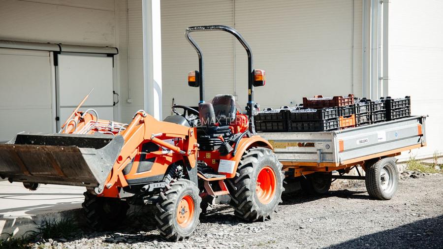 BUSINESS DE VANZARE Plantatie de afin din Romania - 12