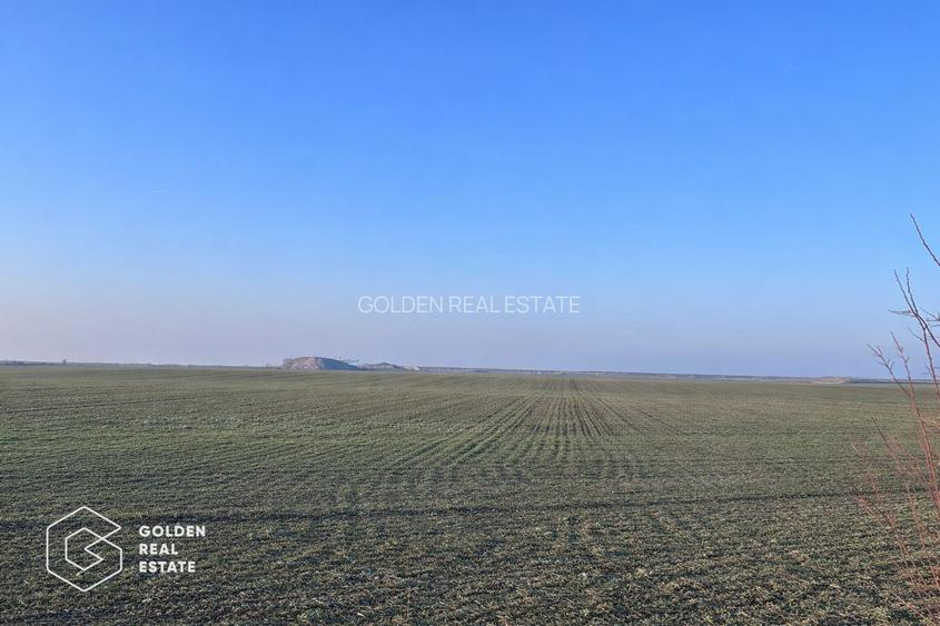 Teren agricol 32.000 mp, deschidere sosea Arad–Siria - 2