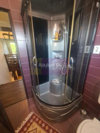 Vila de vanzare in Brebu - Zona Brebu Manastirei - 29