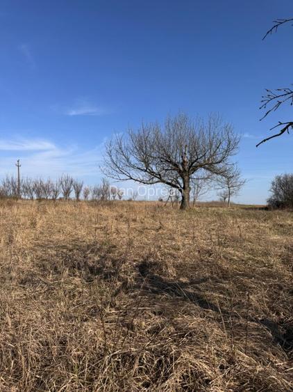 Teren intravilan panoramic 6700 mp – ideal vilă premium – aproape de Oradea - 7