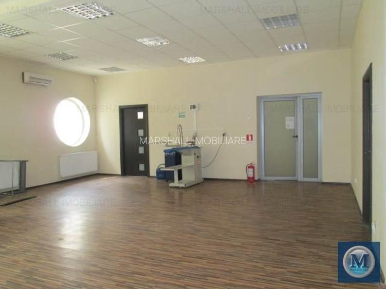 Spatiu  birouri de inchiriat in Paulestii Noi, 2361,24 mp mp #9967 - 12