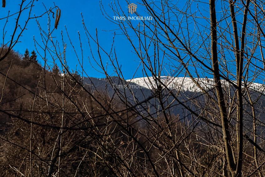 Terenuri la marginea pădurii – Poiana Mărului, zonă superbă | Com 0% - 18