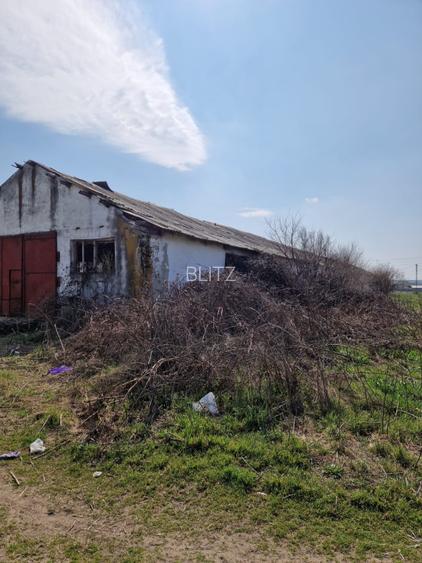 Fermă de vânzare 8 ha – Balș, județul Olt - 5
