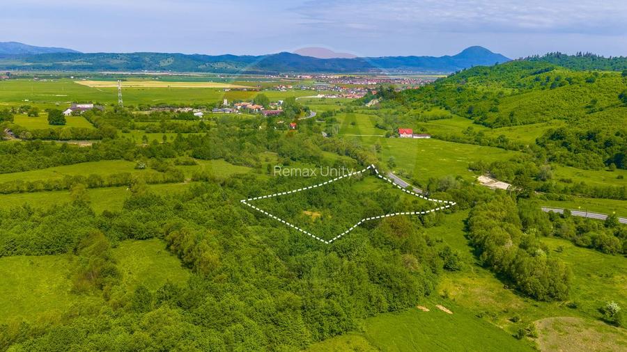 Teren 1ha Valea Glăjeriei - Rasnov | Comision 0% - 4