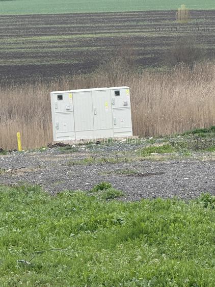 Teren Frumusani Gaz- Curent 400 mp |  D.N. 4 - 3