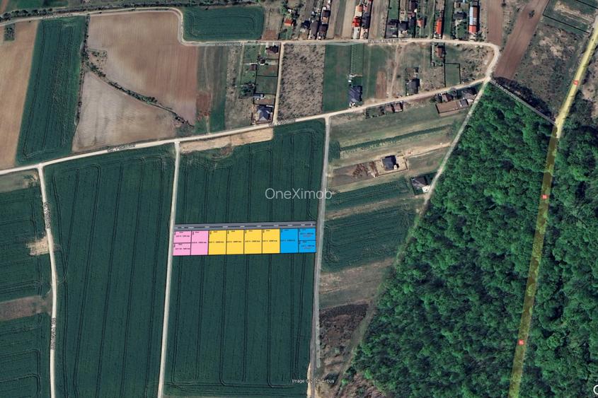 Loturi de teren la padure | 500-1000mp | Izvorani- Snagov - 2