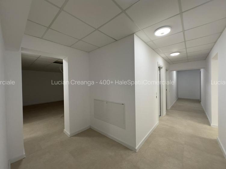 Spatiu comercial intabulat de vanzare, 420mp, Pasaj Bucium - 19