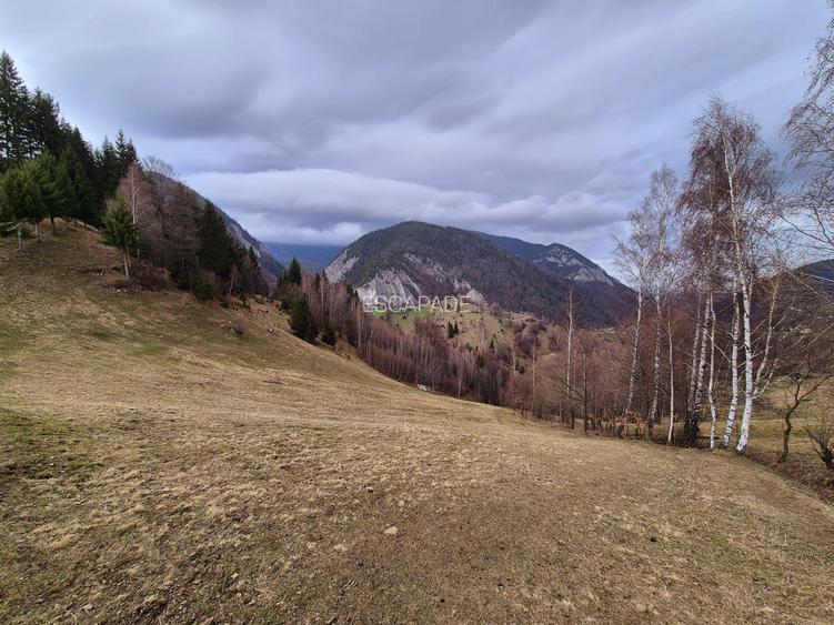 Teren cu energie speciala, Pestera/ 13570mp extravilan/Comision 0 % - 8