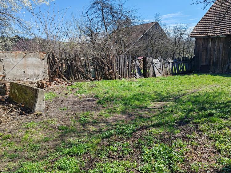 Casa 3 camere libera la vanzare TARLUNGENI - 27