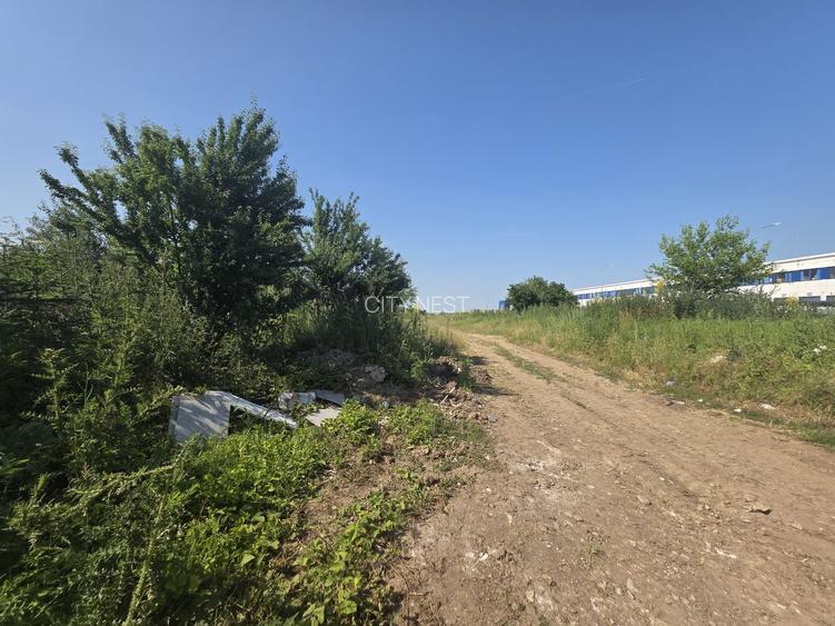 Teren pentru Dezvoltare Logistică – 18.000 mp | Tunari - Comopolis - 6