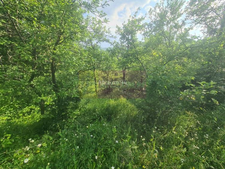 Vila de vanzare cu 6 camere in Cornu (teren 6.600 mp) - 51