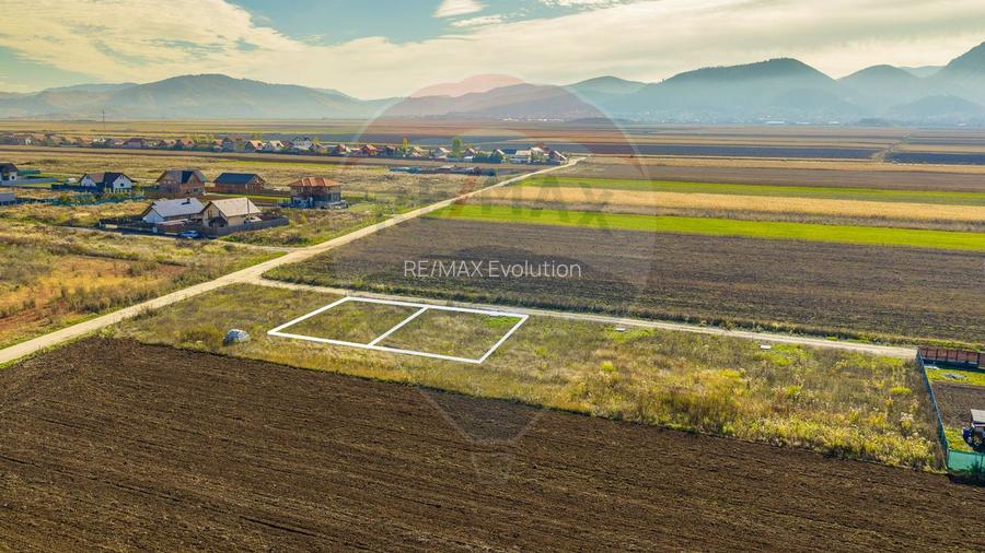 0% Comision  | Teren 650 mp | Sacele, Str. Venus | Curent + Apă - 6