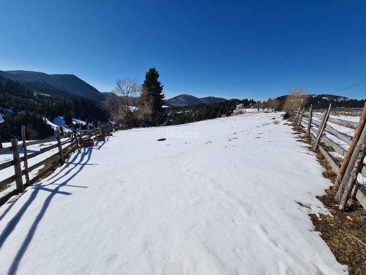 Teren situat langa padure de Vanzare - 6