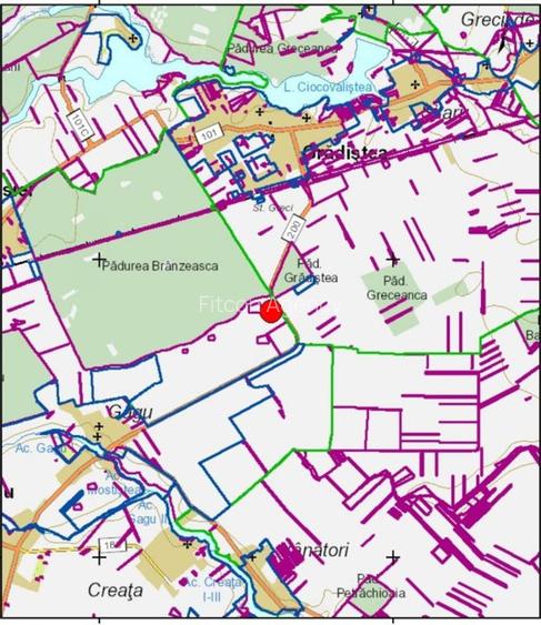 Vanzare teren Moara Vlasiei - Padurea Branzeasca, DJ200 - 2