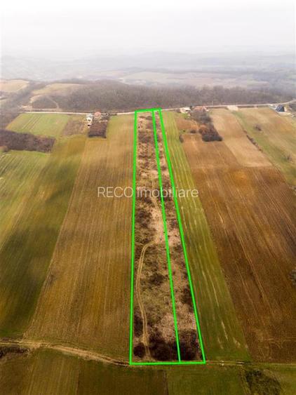 RECO Teren in Burzuc 13 041mp - 3