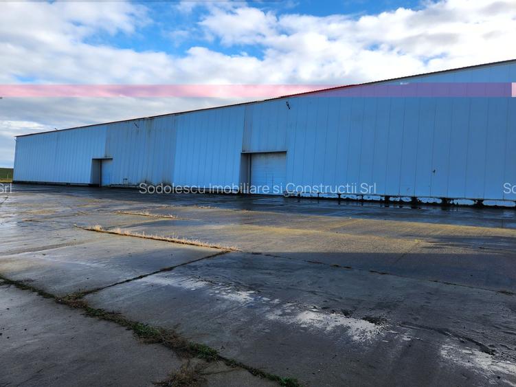 Hale depozit-productie industriala la 20 km de TM - 11