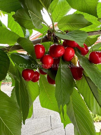 Teren 2000 mp de vânzare – Comana, deschidere la lac, aproape de Parcu - 8