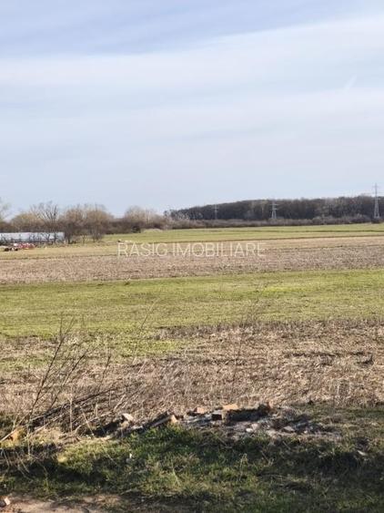 Teren Intravilan JILAVA - 3