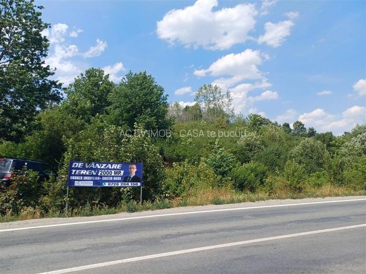 Resita, Terenuri Intravilane 2000 Mp., 28 Euro Mp., Calea Caransebesului, Mement - 4