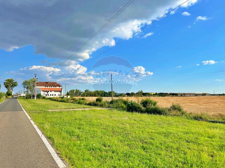 De vânzare pensiunea „Casa Albă”, orașul Pecica, jud. Arad - 6