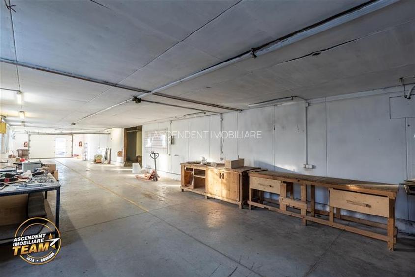 Complex industrial modern,acces dublu, potential apreciabil,Valea Crișului, - 30