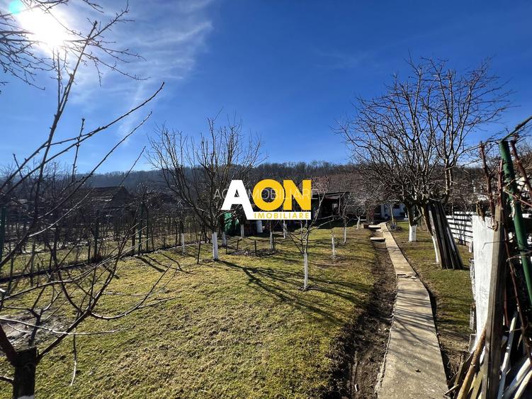 Casa de vanzare pretabila 2 familii, garaj, livada, comuna Pianu - 38