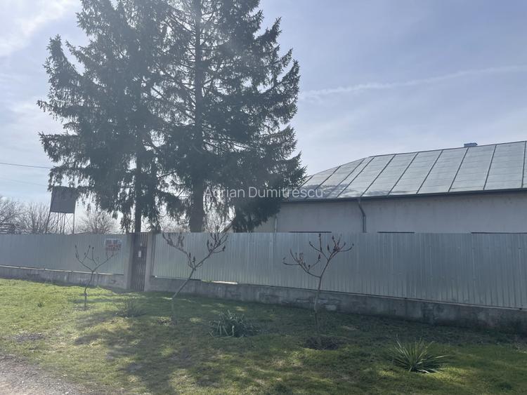 Mitreni-Valea Rosie-Acasa la Tara -4 camere-178 mp-LOT  1000 mp+Casa secundara - 43