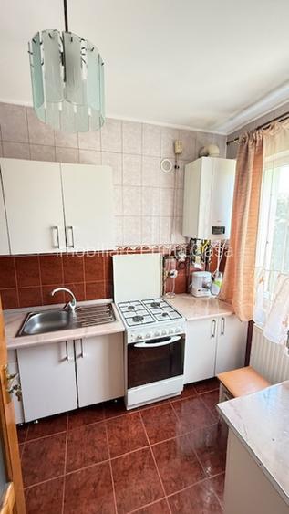 BAIA SPRIE - spre Cavnic Vila D+P+E 168mp + anexa cu teren 1526mp! - 13