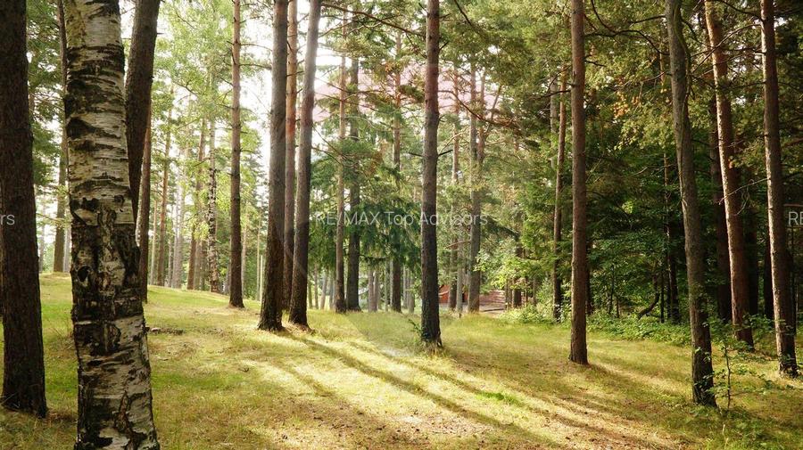 DE VANZARE Pensiune | 12 camere | Bisoca / Buzau - 14