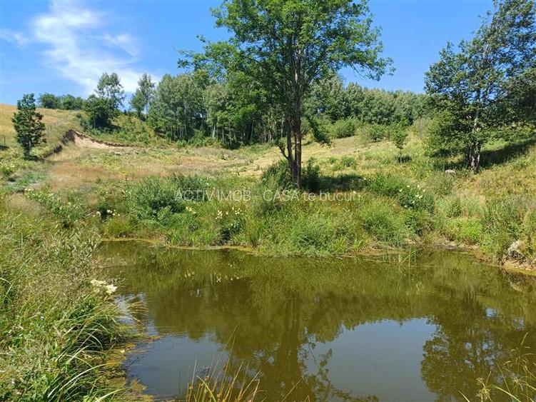 Teren Intravilan in zona Trei Ape, 6889 Mp., 14,5 Euro Mp., Brebu Nou - 12