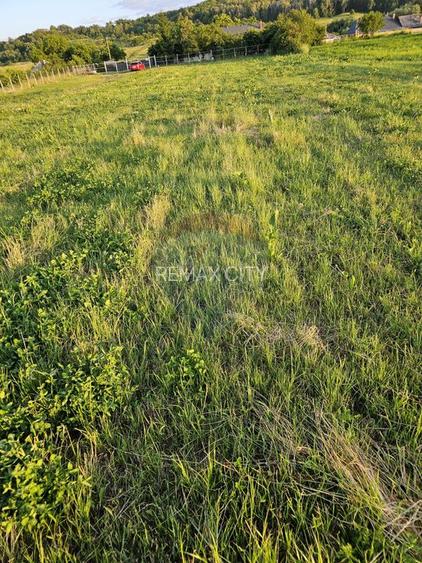 Teren 1,495mp Dobreni / Strada Parau Almas - 32
