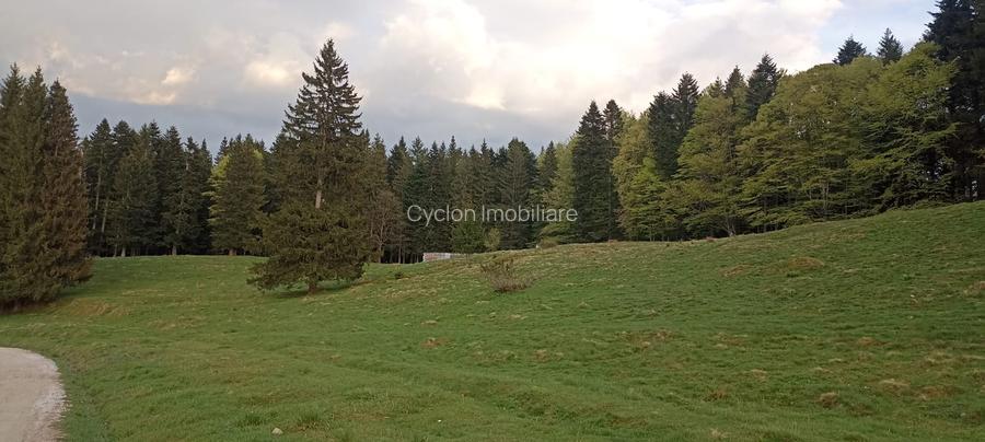 Vanzare teren 900 mp/25 ml toate utilitatile, Predeal laga Cabana Trei Brazi - 4