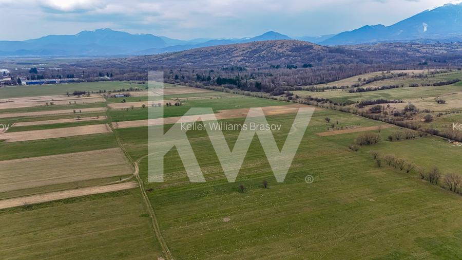 Oportunitate de investitie în Zarnesti I Teren intravilan 8557 mp - 11