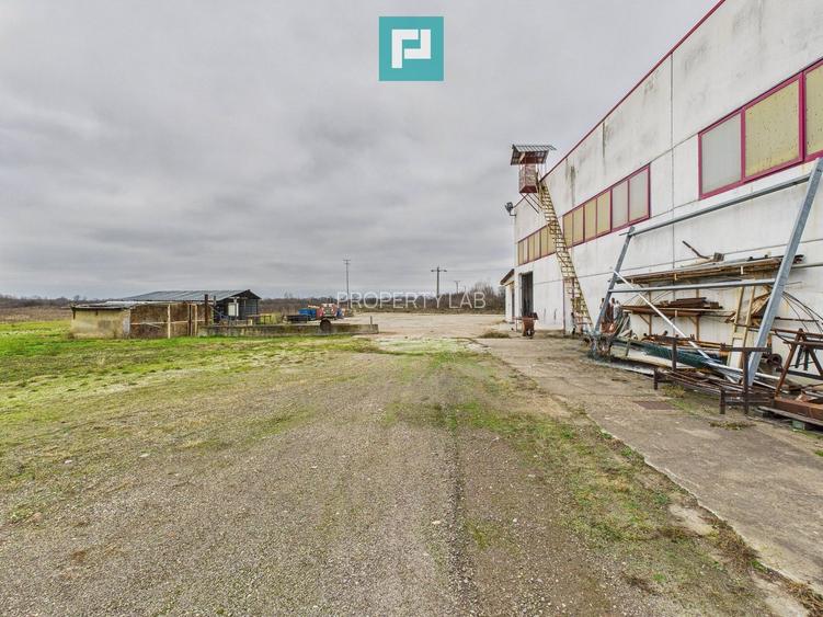 Hală de producție, cu birouri și teren, în Sebiș - 59