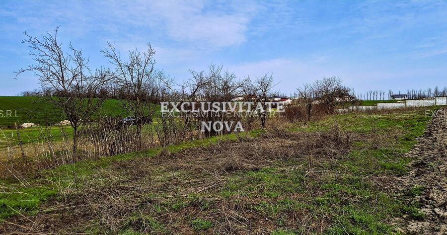 Teren INTRAVILAN pe malul Lacului Moara Domneasca Ganeasa deschidere la apa - 6