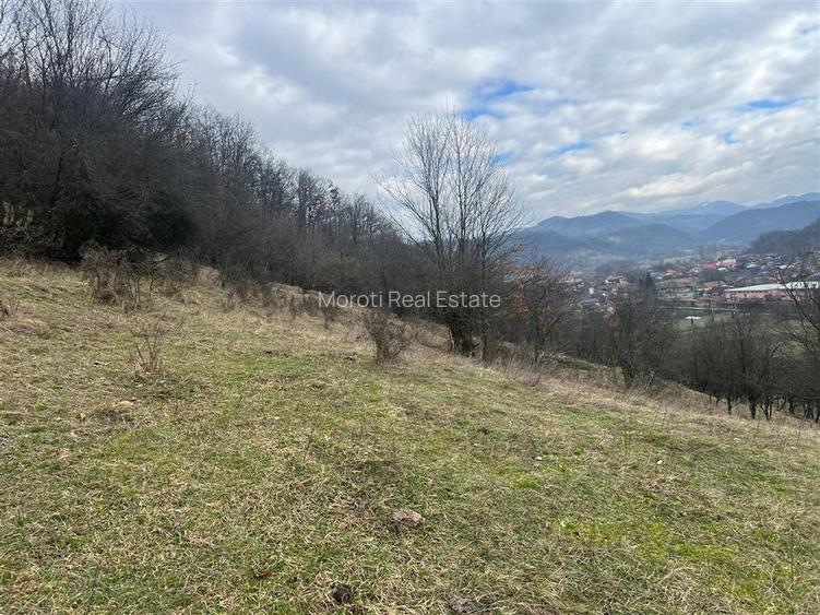 Teren intravilan si extravilan Luncoiu de Jos - 6