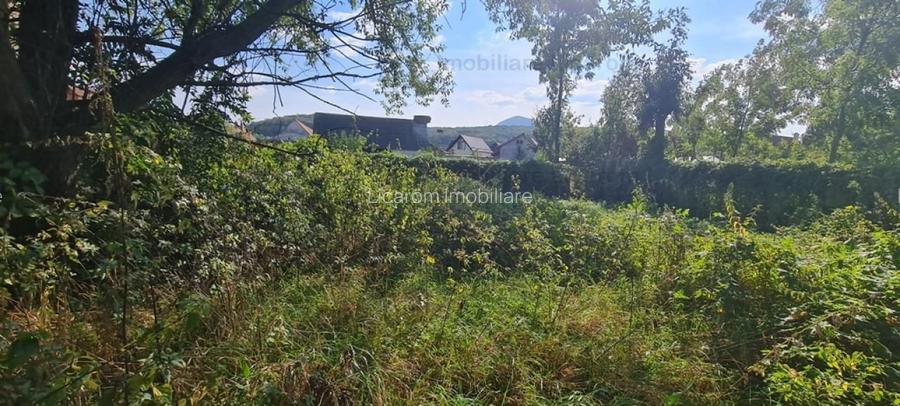 Casa individuala cu 3 camere,CODLEA - DUMBRAVITA ,65000 euro - 8