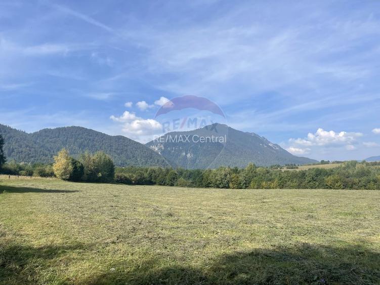 Teren intravilan 850mp Zarnești-Bran, natura-relaxare - 5