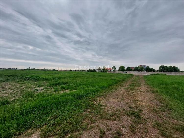 Teren intravilan langa autostrada, Aradul Nou - 2