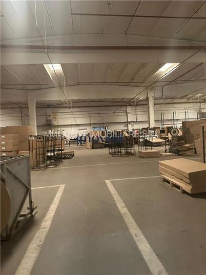 DE VANZARE COMPLEX INDUSTRIAL SATU MARE - 4