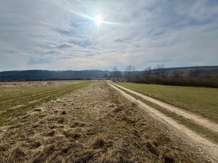 Teren intravilan de vânzare – 802 mp – zona Salciua / Herneacova - 5