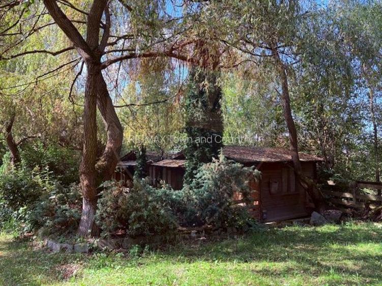 Ansamblu de 7 Căsuțe de Vacanță, Ocna Șugatag - 10