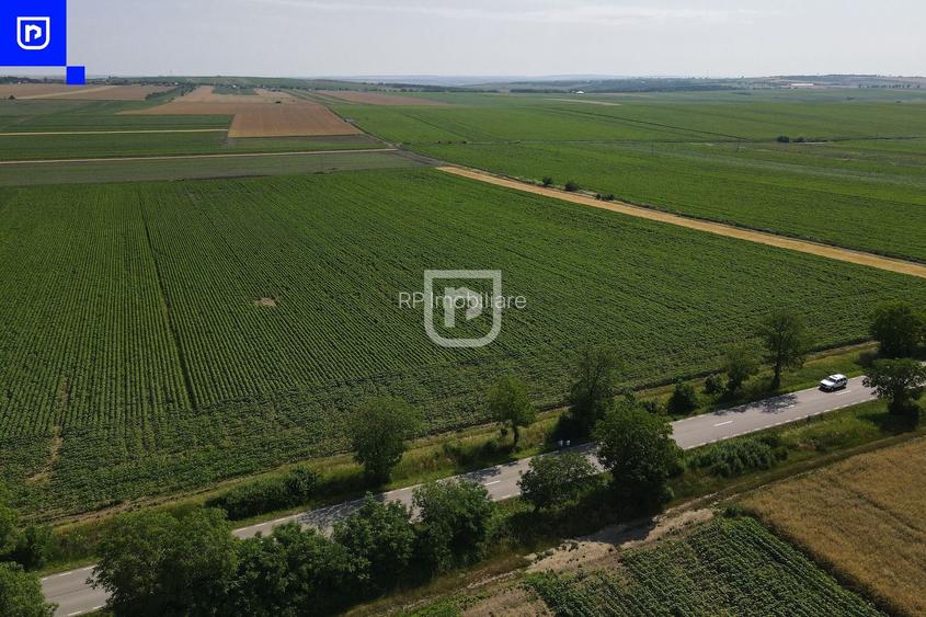 Teren - Orășeni Deal, Curtești | BOTOȘANI | 10.000mp - 7