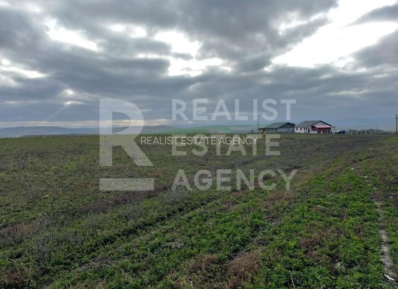 Teren 10.000 mp: 5.000 mp intravilan + 5.000 mp extravilan – Horlești - 2