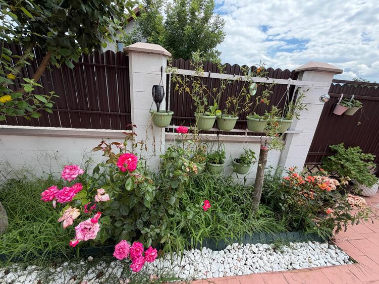 Casă Premium P+M | Personalizare inclusă | Buftea | Curte proprie